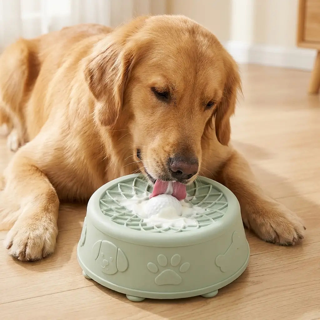 PawPace 2-in-1 Slow Feeder & Lick Bowl