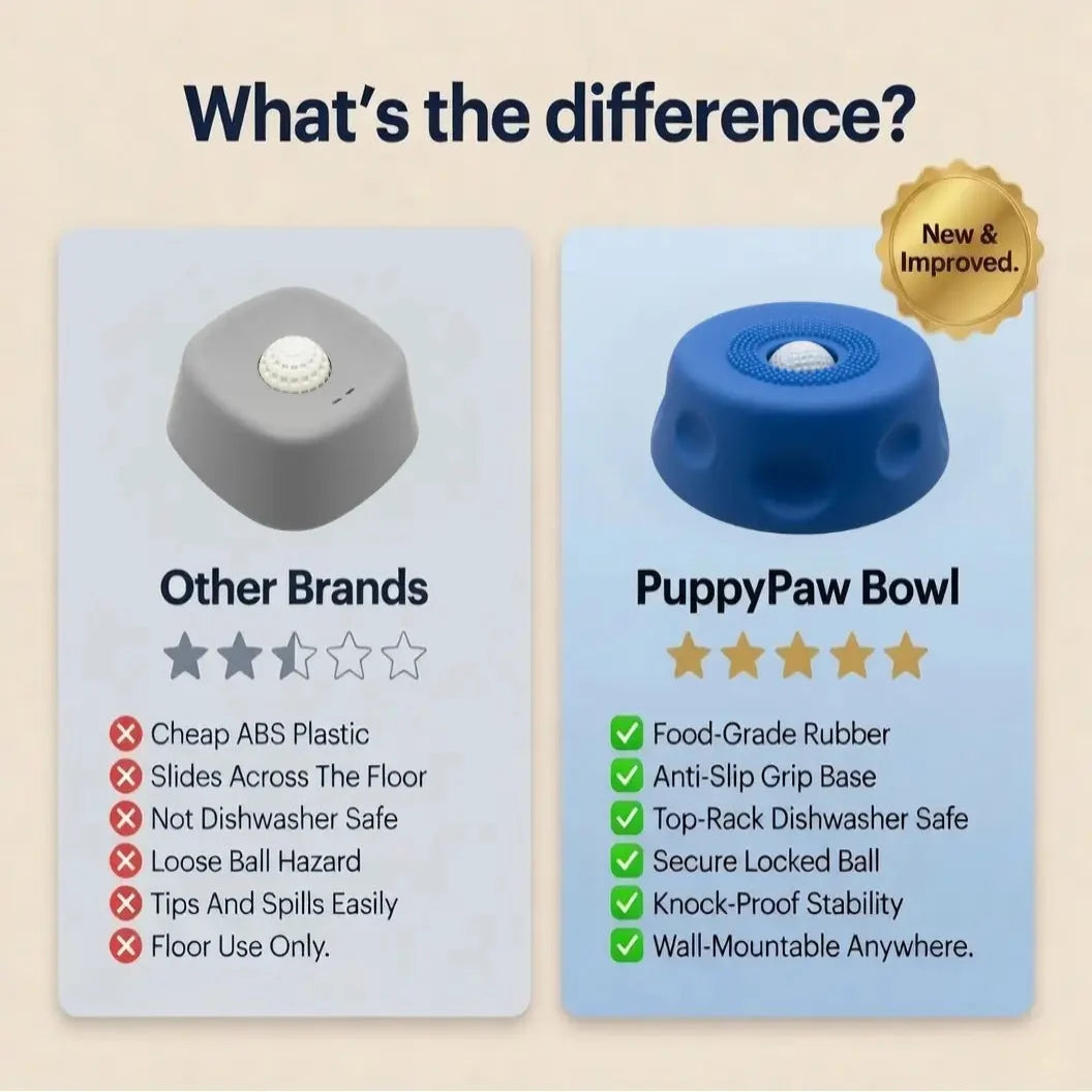 PawPace 2-in-1 Slow Feeder & Lick Bowl